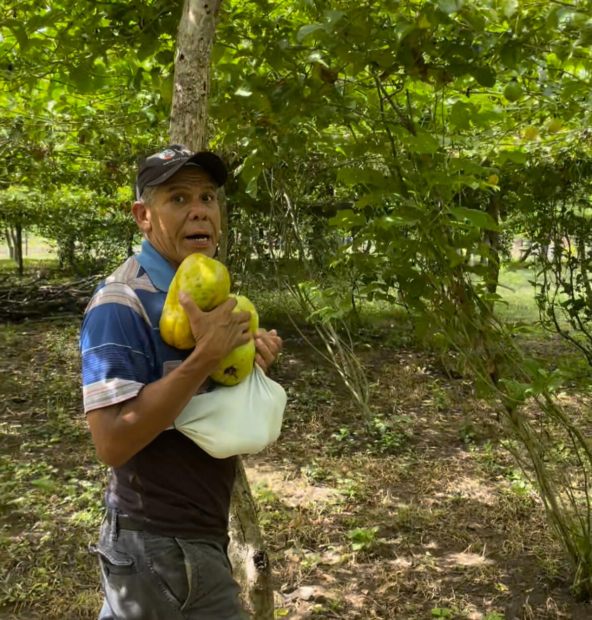 Compartiendo / Sharing