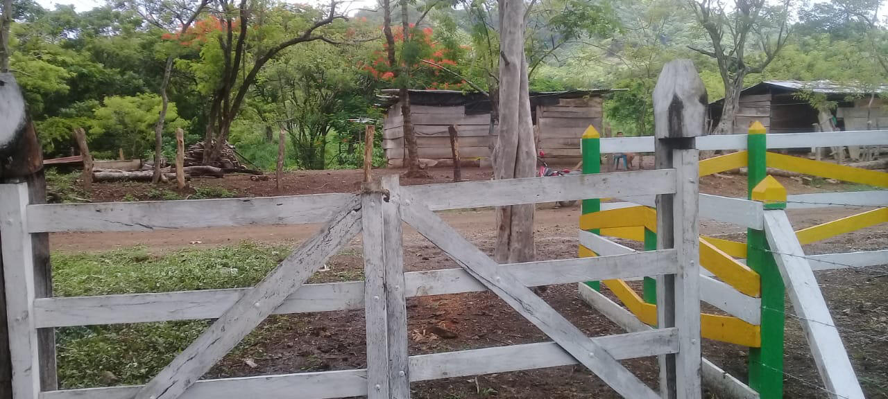 Vecindario / Neighborhood