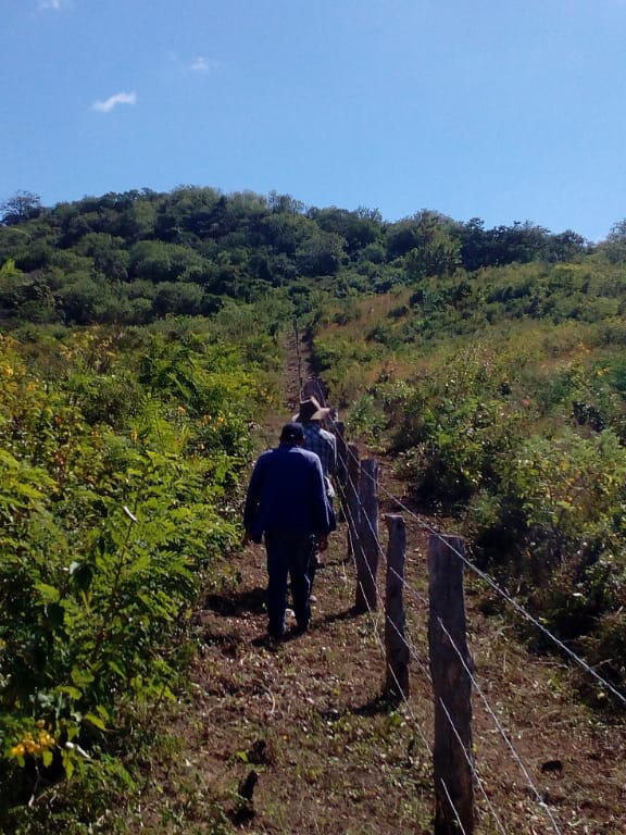 Caminando / walking