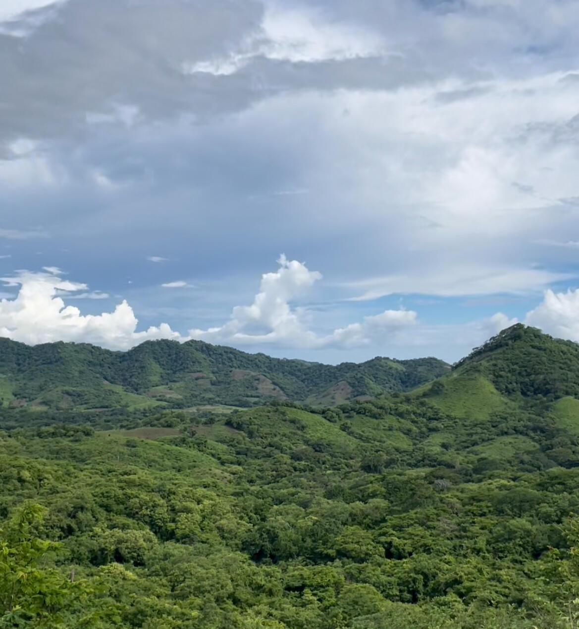 Hacia el Mar / To the Sea