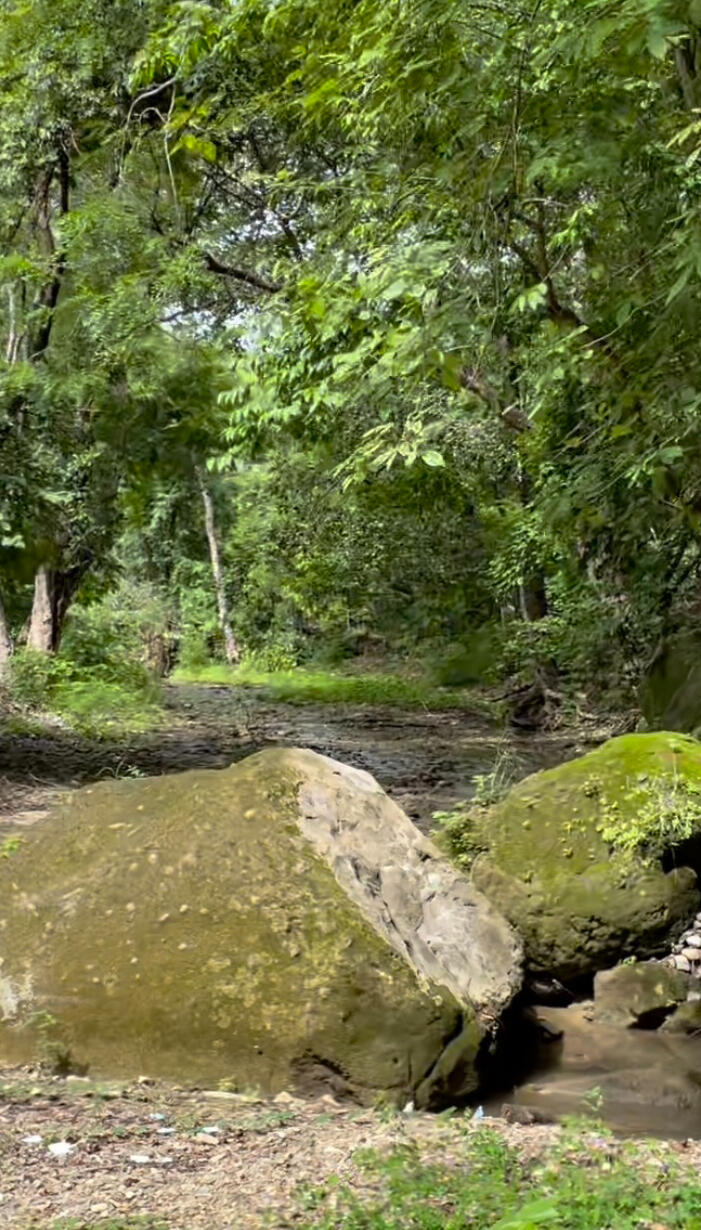 Rio La Pita / La Pita River